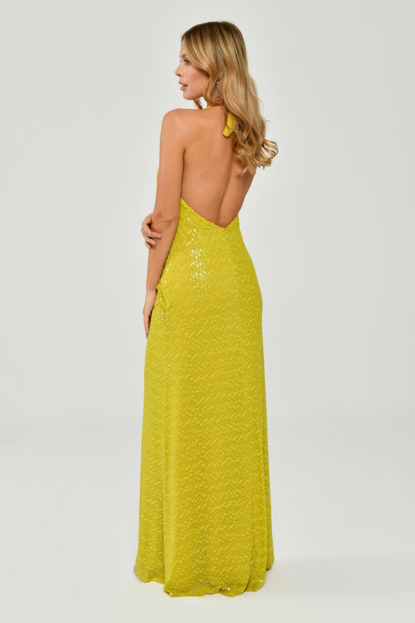 Halter Neck Backless Sequin Maxi Dress with Fringe Detail
