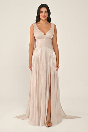 Long Shiny Chiffon Dress with Plunging Neckline and Train