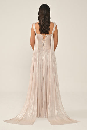 Long Shiny Chiffon Dress with Plunging Neckline and Train