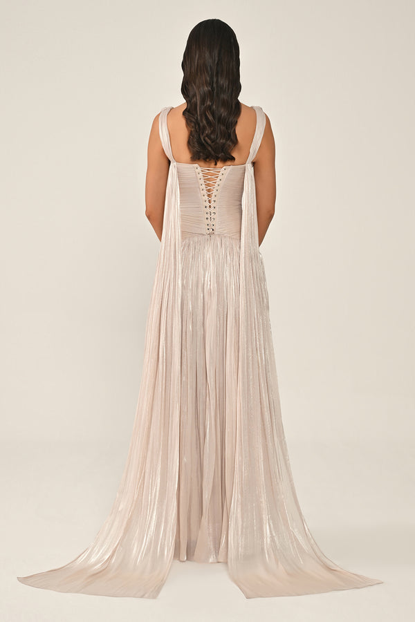 Long Shiny Chiffon Dress with Plunging Neckline and Train