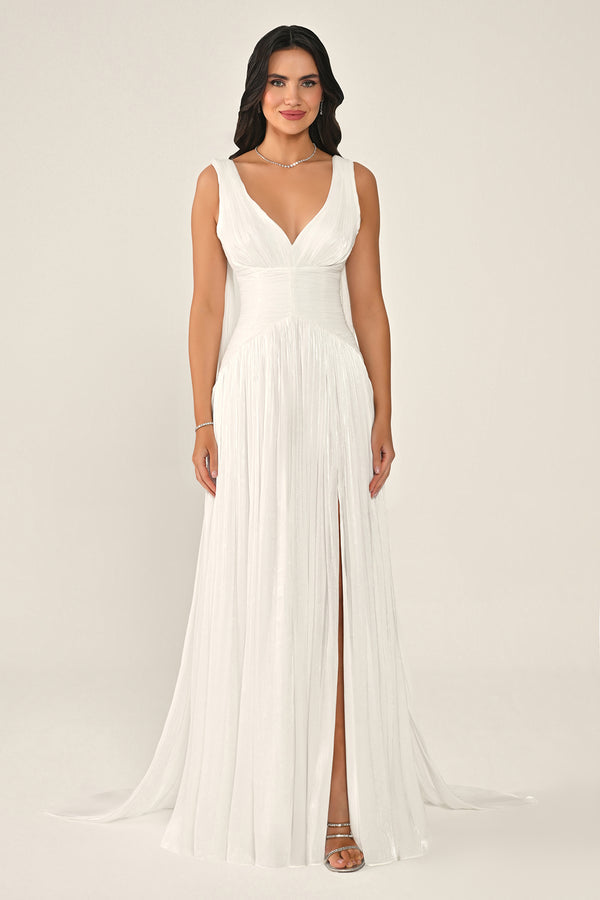 Long Shiny Chiffon Dress with Plunging Neckline and Train
