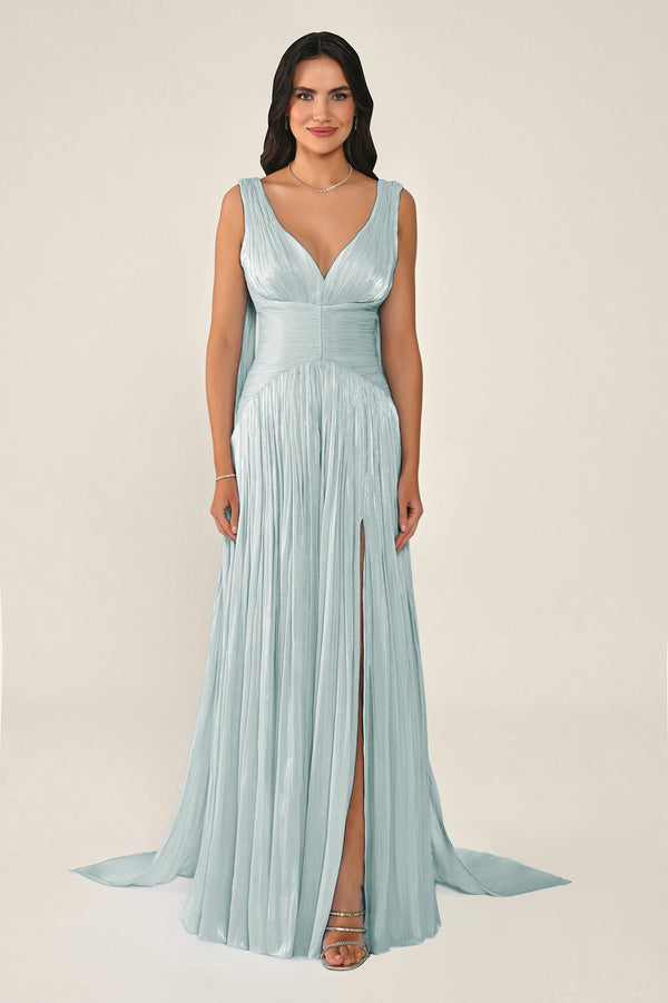 Long Shiny Chiffon Dress with Plunging Neckline and Train