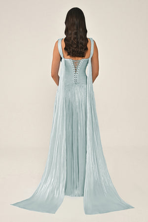 Long Shiny Chiffon Dress with Plunging Neckline and Train