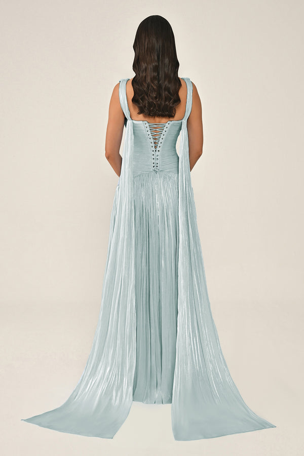 Long Shiny Chiffon Dress with Plunging Neckline and Train