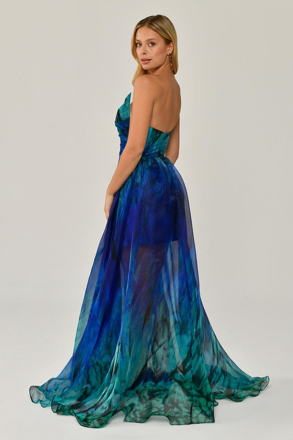 Boat Neck Patterned Tulle Long Dress