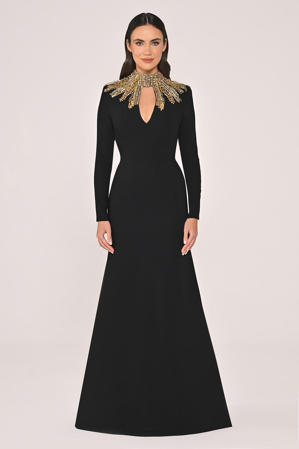 Long Sleeve Top with Backless Crepe Long Dress