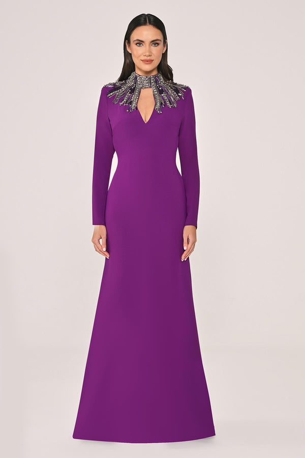 Long Sleeve Top with Backless Crepe Long Dress