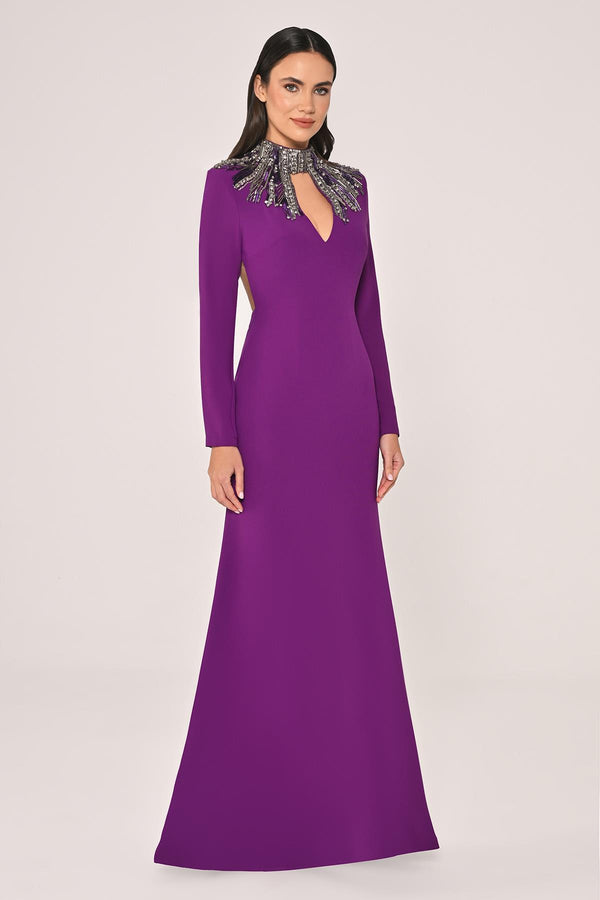 Long Sleeve Top with Backless Crepe Long Dress
