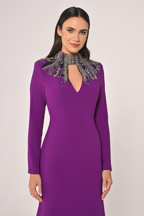 Long Sleeve Top with Backless Crepe Long Dress