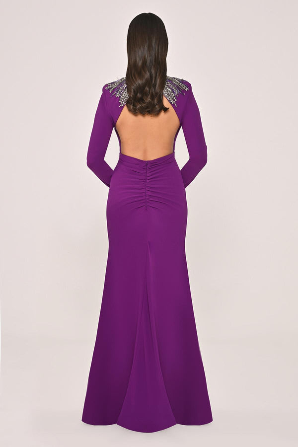Long Sleeve Top with Backless Crepe Long Dress