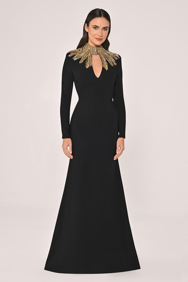 Long Sleeve Top with Backless Crepe Long Dress