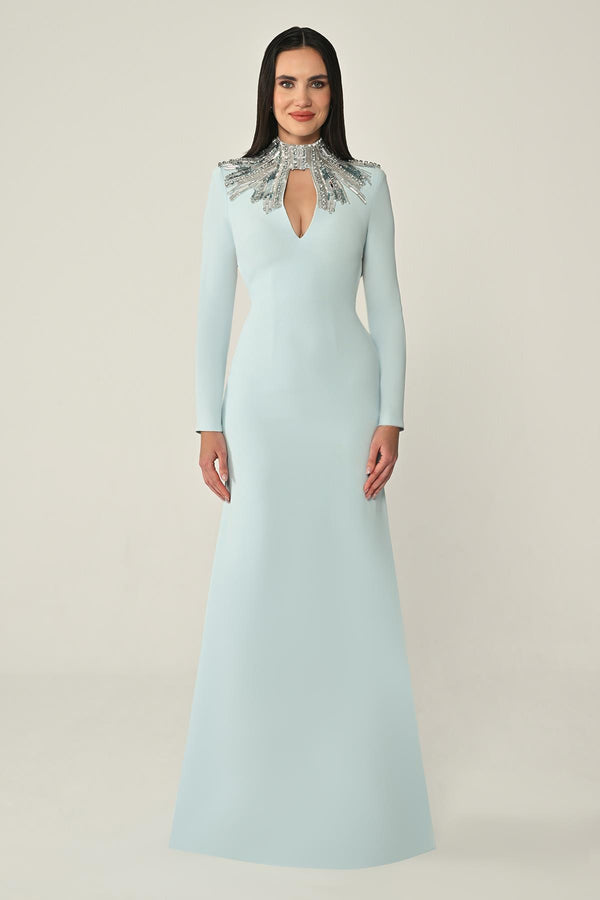 Long Sleeve Top with Backless Crepe Long Dress